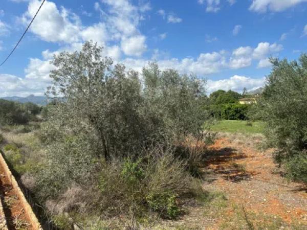Terreno en Pedreguer photo 1