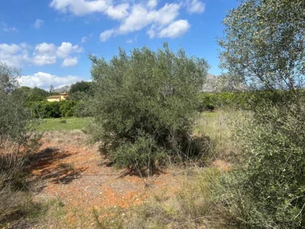 Land for sale in Pedreguer, Alicante photo 2