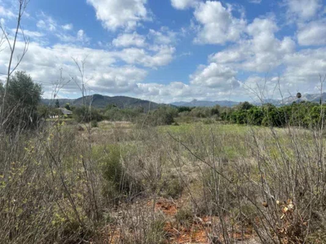 Land for sale in Pedreguer, Alicante photo 3