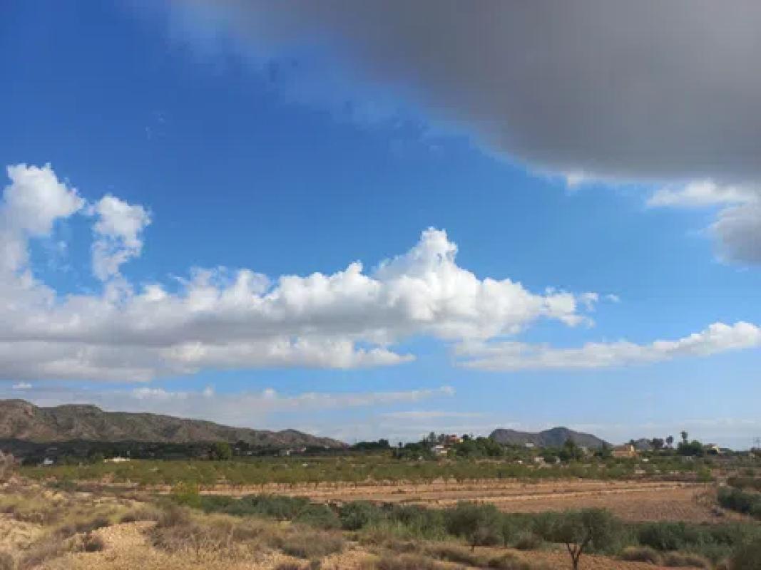 Terreno en venta en Monovar, Alicante photo 3