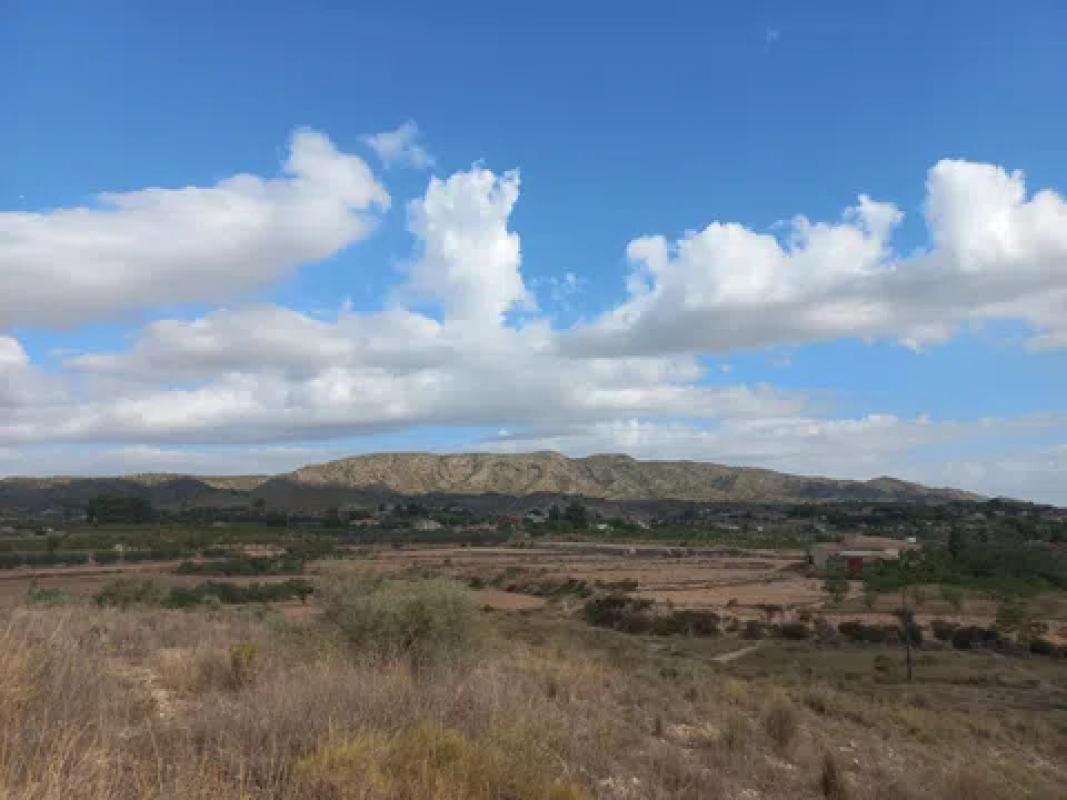 Terreno en venta en Monovar, Alicante photo 4