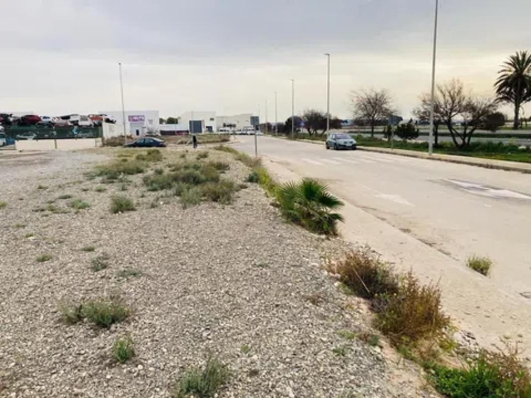 Terreno en venta en Dolores, Alicante photo 4