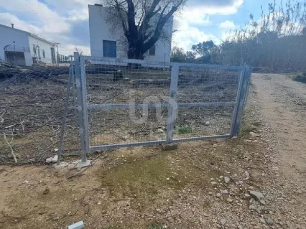 Terreno en Pego photo 1