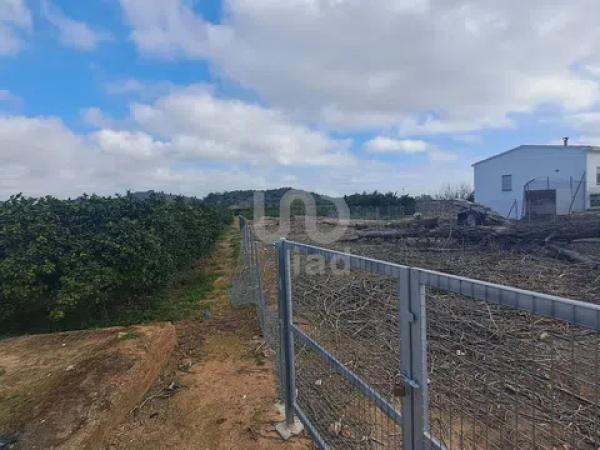Terreno en Pego photo 2