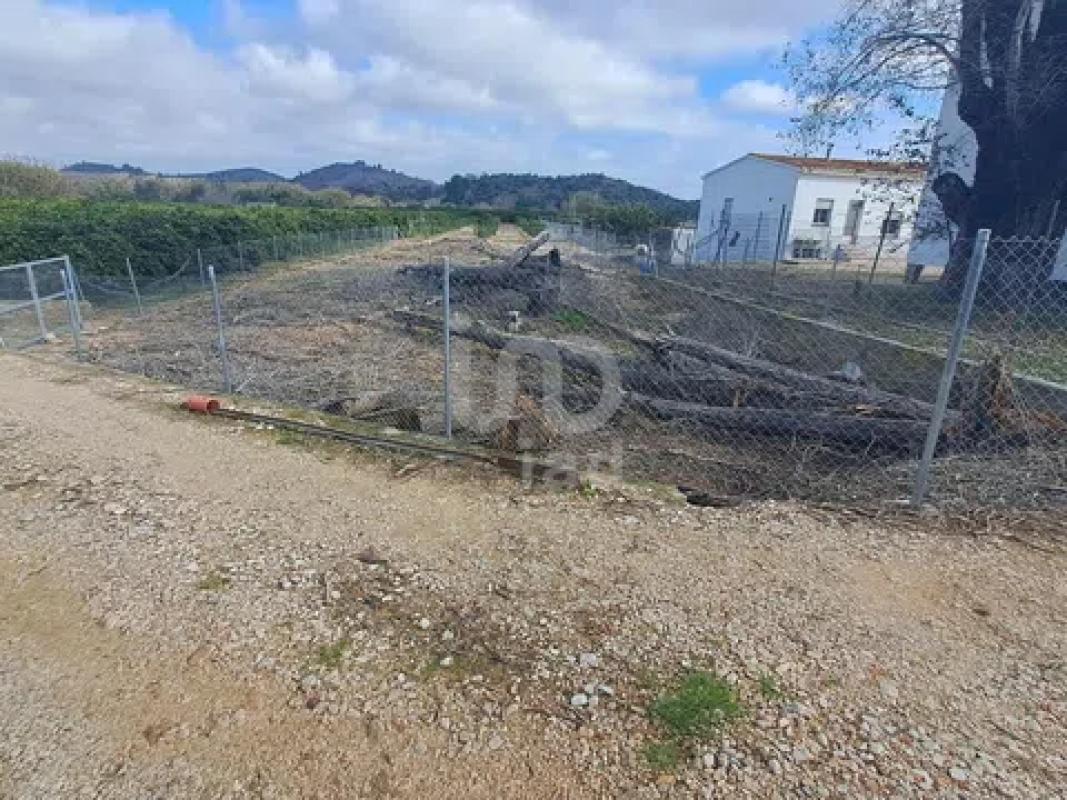 Działka na sprzedaż w Pego, Alicante photo 4