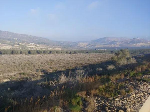 Terreno en carretera Hurcillo Torr. photo 3