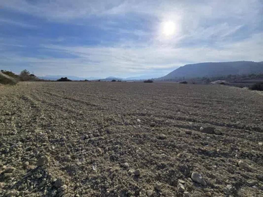 Land for sale in Novelda, Alicante photo 2