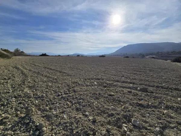 Terreno en Novelda photo 2