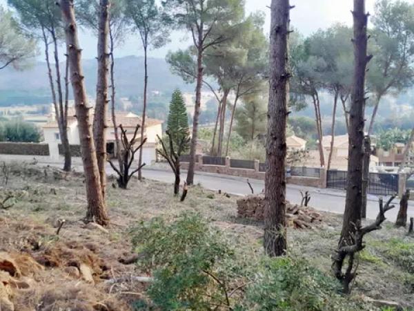 Terreno en Pedreguer photo 1