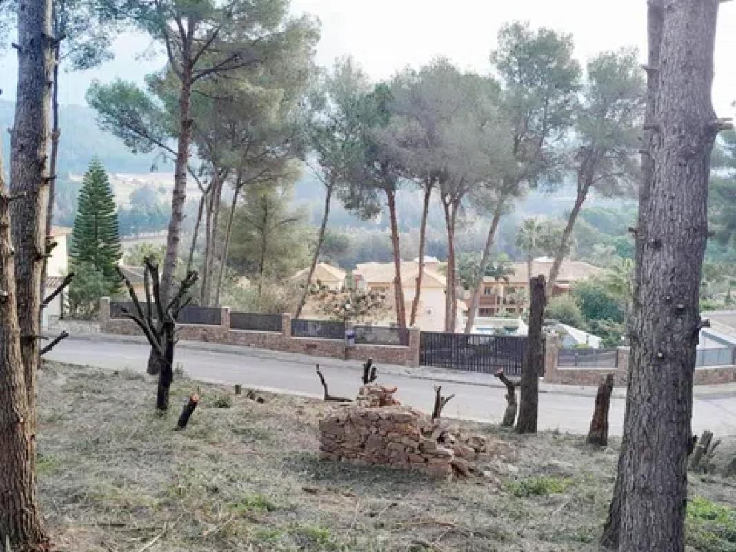 Terreno en venta en Pedreguer, Alicante photo 4