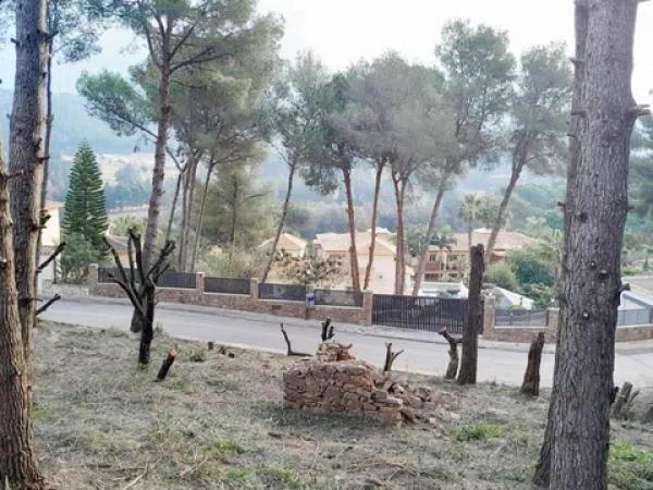 Terreno en Pedreguer photo 4