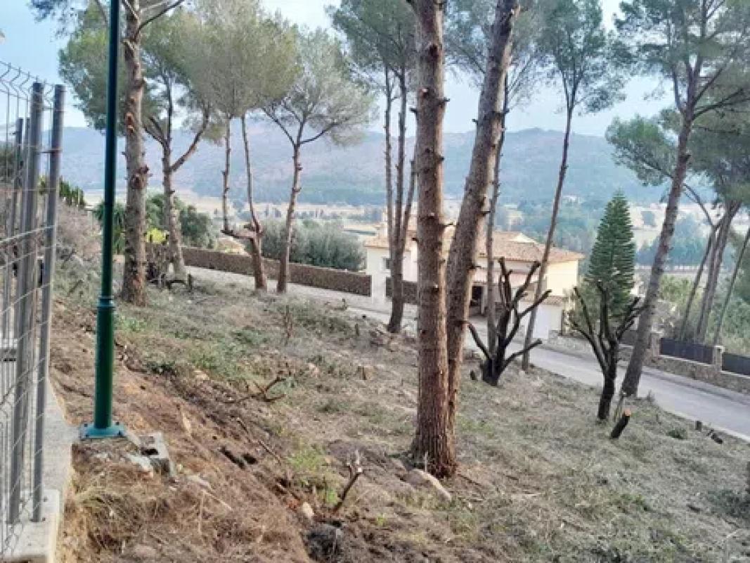Terreno en venta en Pedreguer, Alicante photo 5