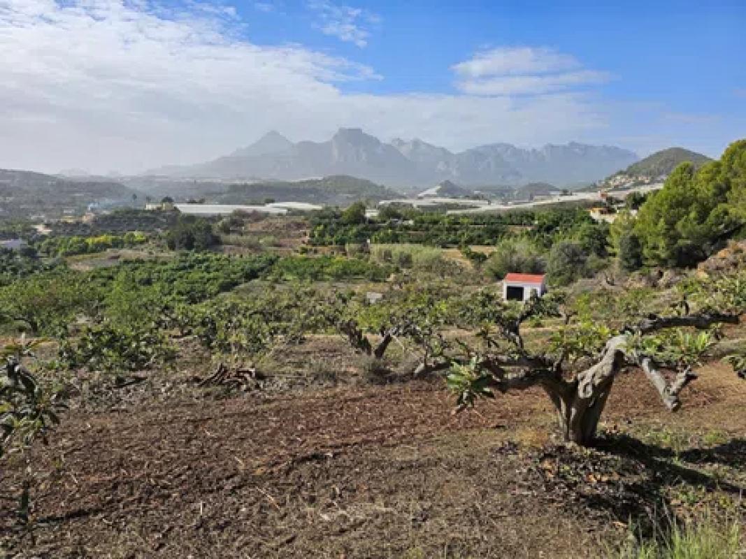 Land for sale in Callosa d'En Sarria, Alicante photo 1