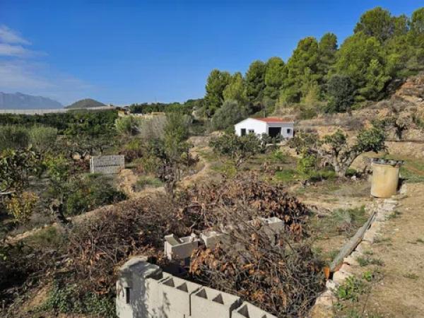 Terreno en Callosa d'En Sarria thumbnail 3