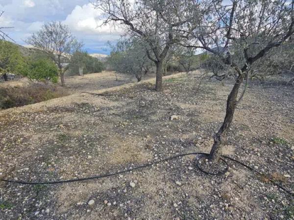 Terreno en via Sense Nom photo 1