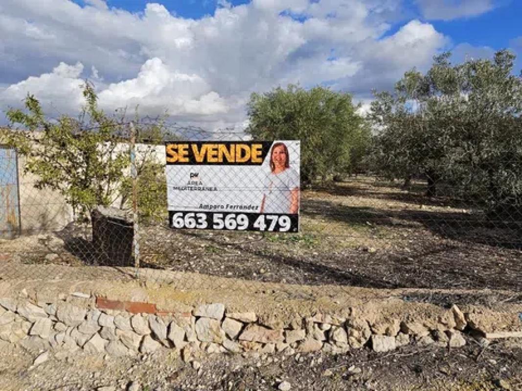 Land for sale in La Romana, Alicante photo 2