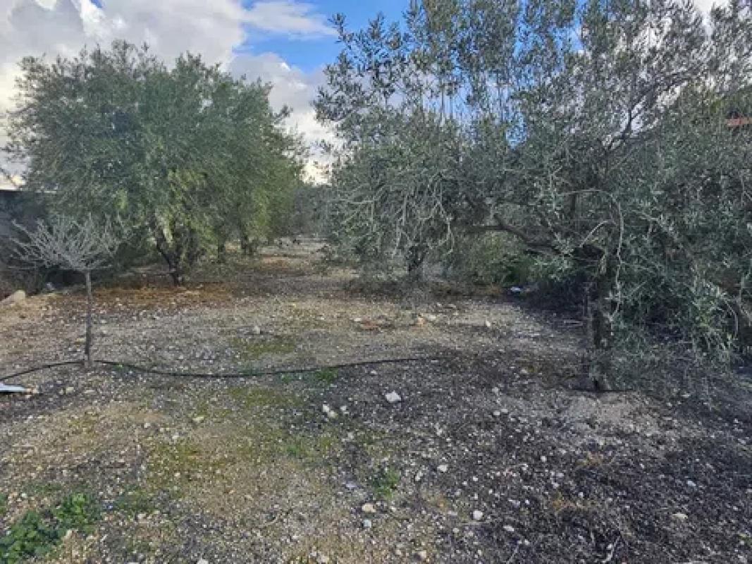 Land for sale in La Romana, Alicante photo 3