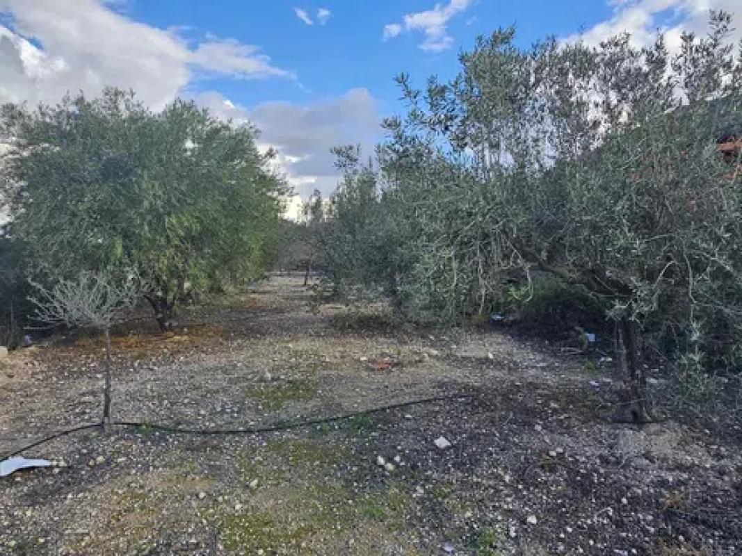 Land for sale in La Romana, Alicante photo 4