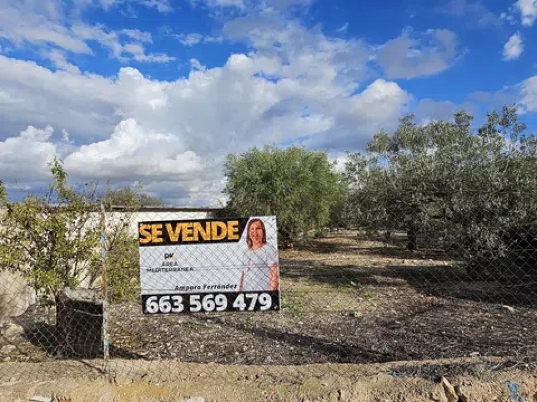 Land for sale in La Romana, Alicante photo 5