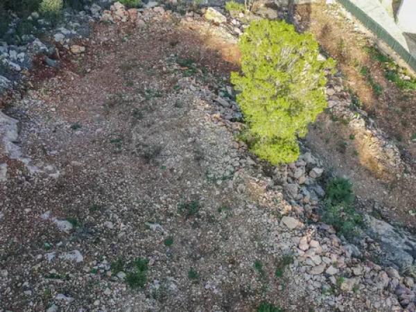 Terreno en Pego photo 2