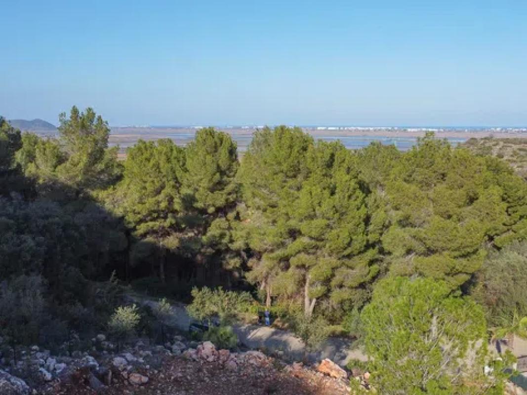 Działka na sprzedaż w Pego, Alicante photo 3