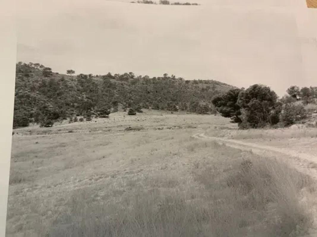 Terreno en venta en Cañada del Fenollar, Alicante photo 3