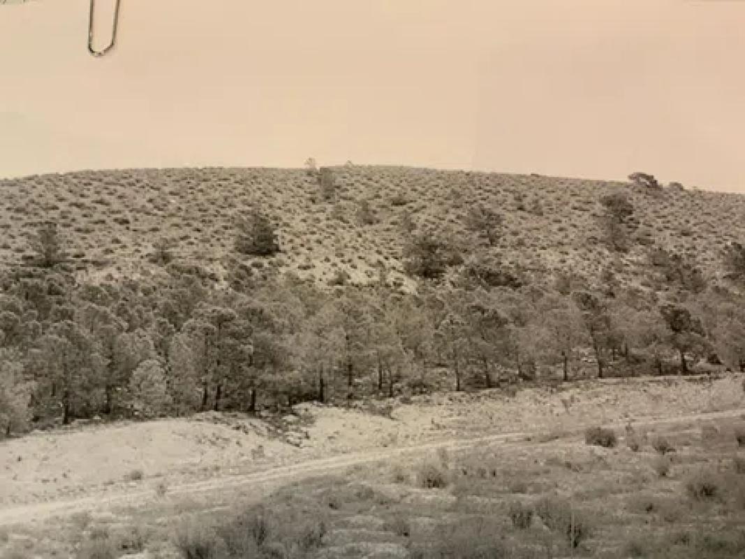 Terreno en venta en Cañada del Fenollar, Alicante photo 4