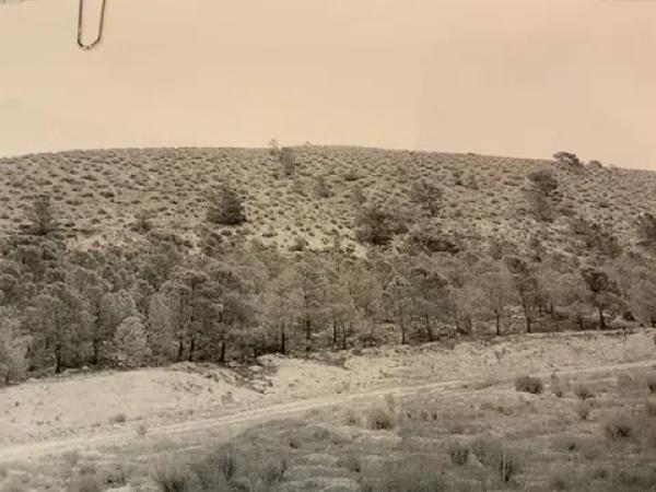 Terreno en carretera de Agost s/n photo 4