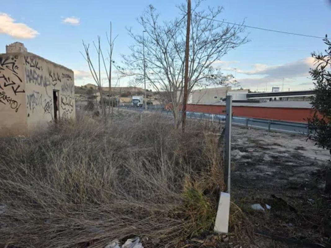 Land for sale in Monforte del Cid, Alicante photo 4