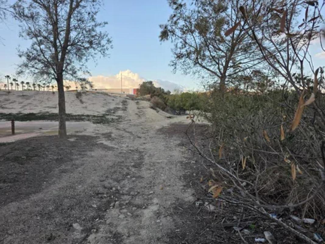 Land for sale in Monforte del Cid, Alicante photo 5