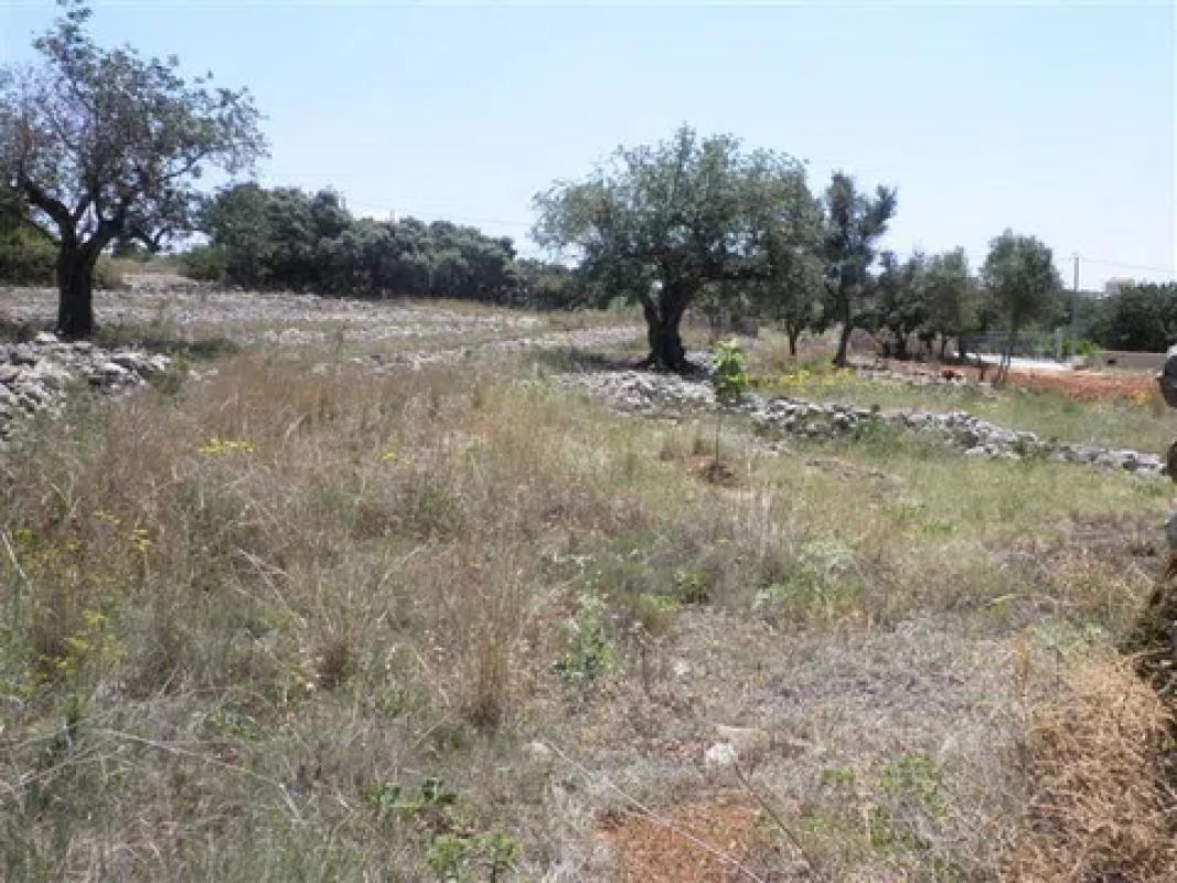 Terreno en venta en Benissa, Alicante photo 2