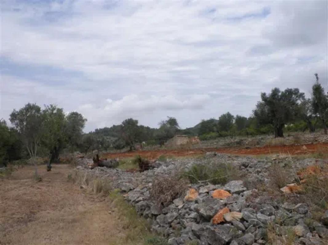Terreno en venta en Benissa, Alicante photo 3
