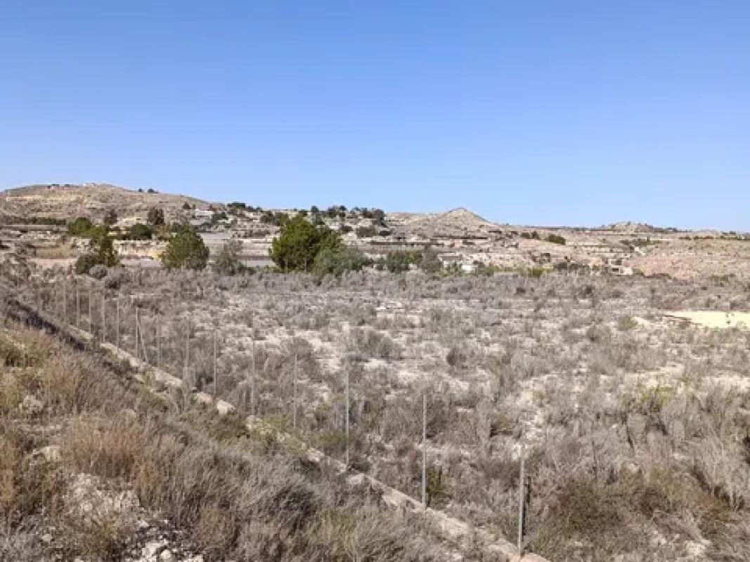 Terreno en venta en Aspe, Alicante photo 4