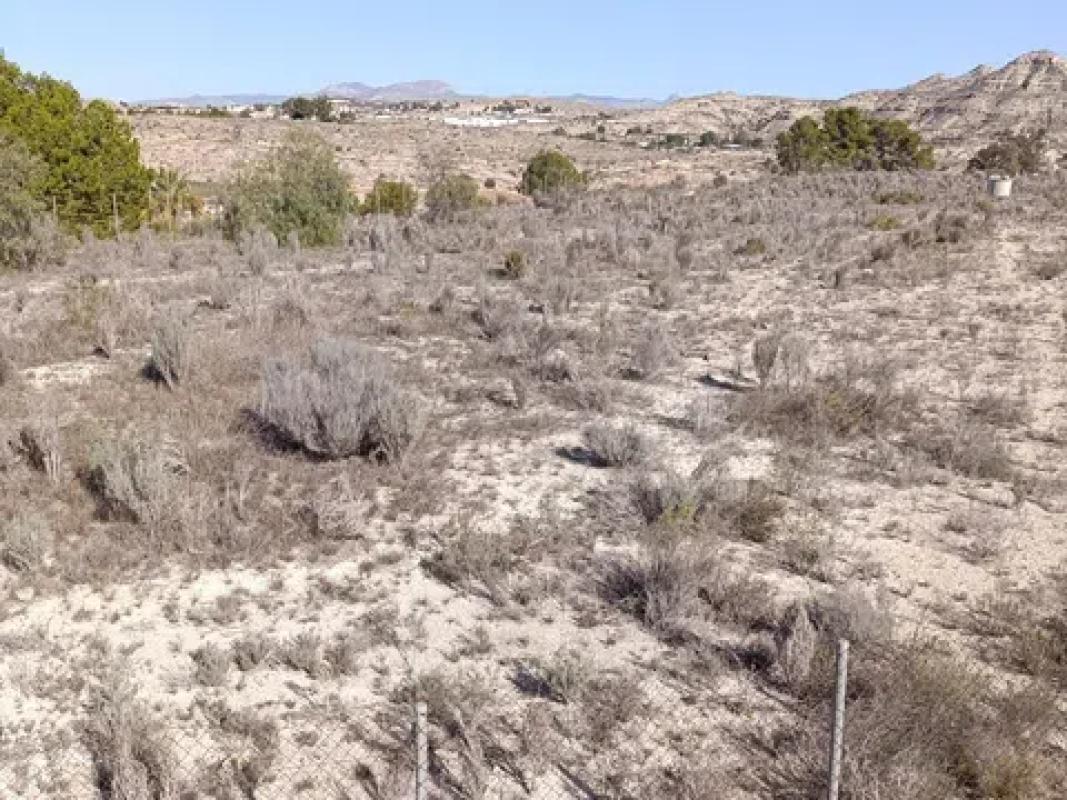 Terreno en venta en Aspe, Alicante photo 5