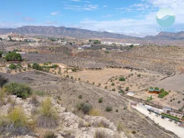 Terreno en camino els Molins photo 4