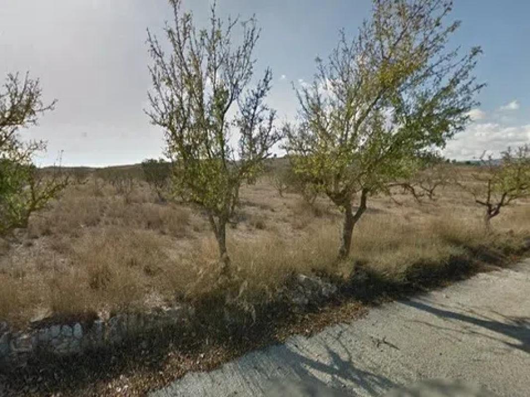 Terreno en venta en Pinoso, Alicante photo 5