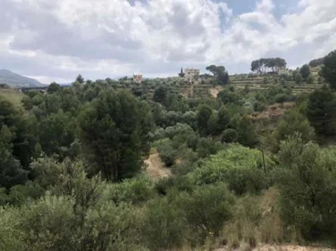 Terreno en venta en Cocentaina, Alicante photo 4
