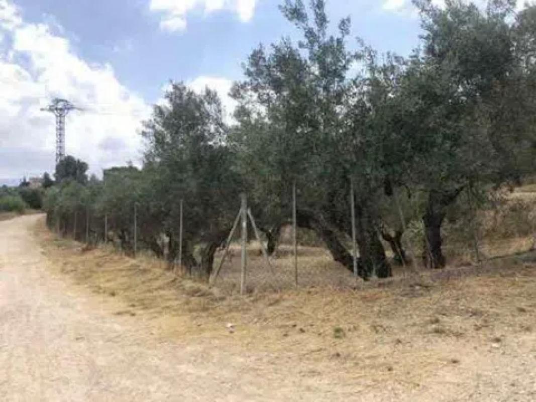 Terreno en venta en Cocentaina, Alicante photo 5