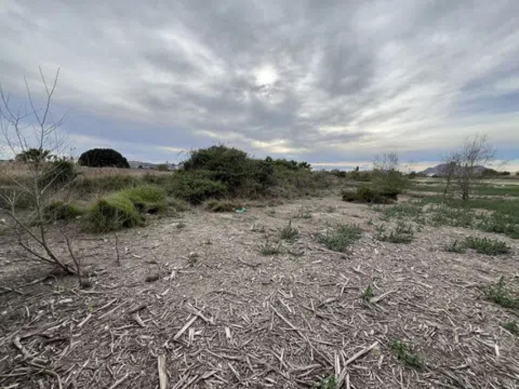 Terreno en venta en Almoradí, Alicante photo 1