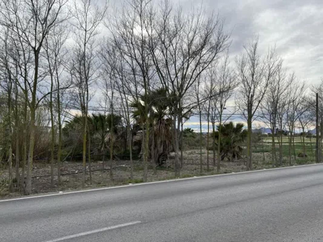 Terreno en venta en Almoradí, Alicante photo 5