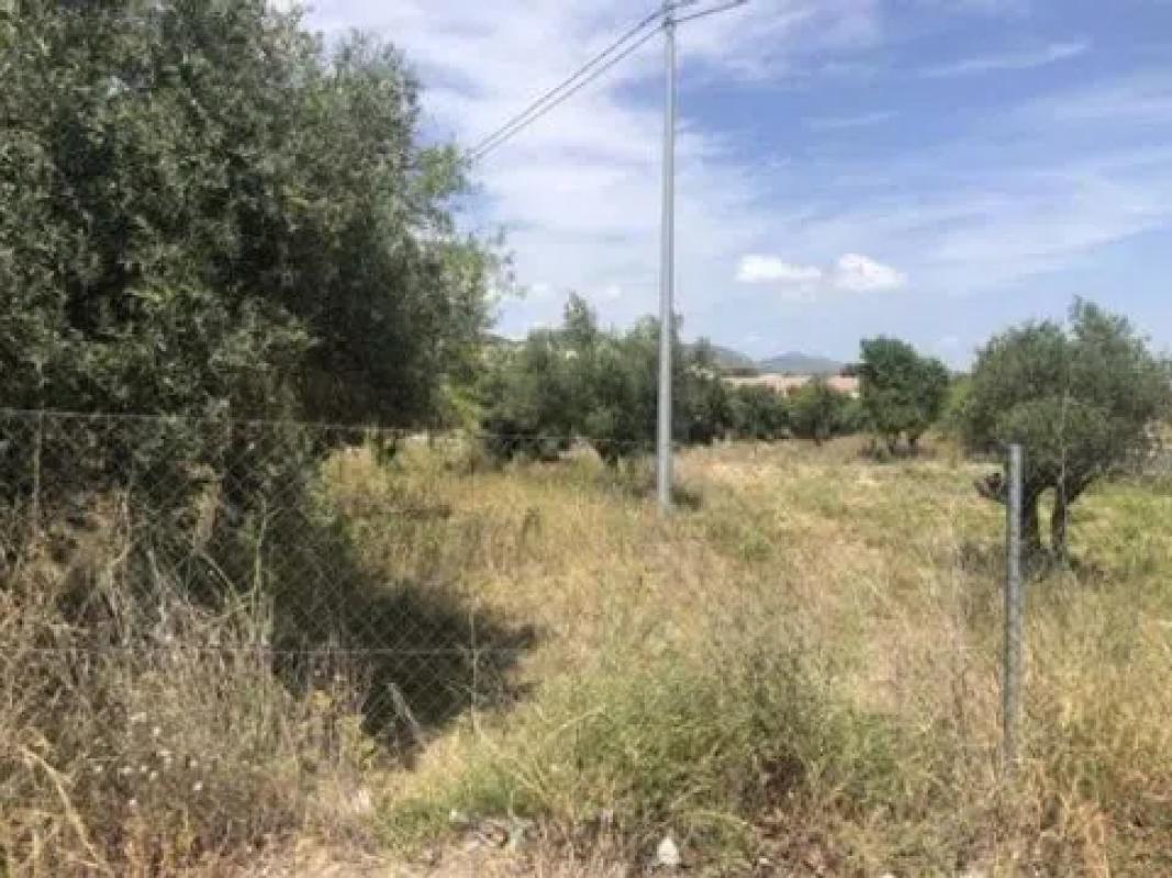 Terreno en venta en Onil, Alicante photo 4