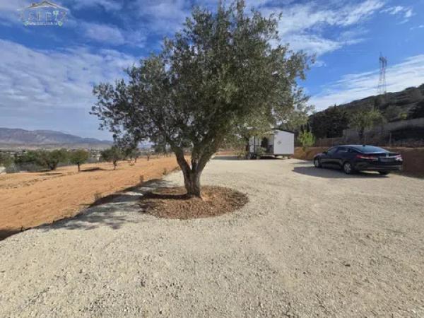 Terreno en Hondón de los Frailes photo 1