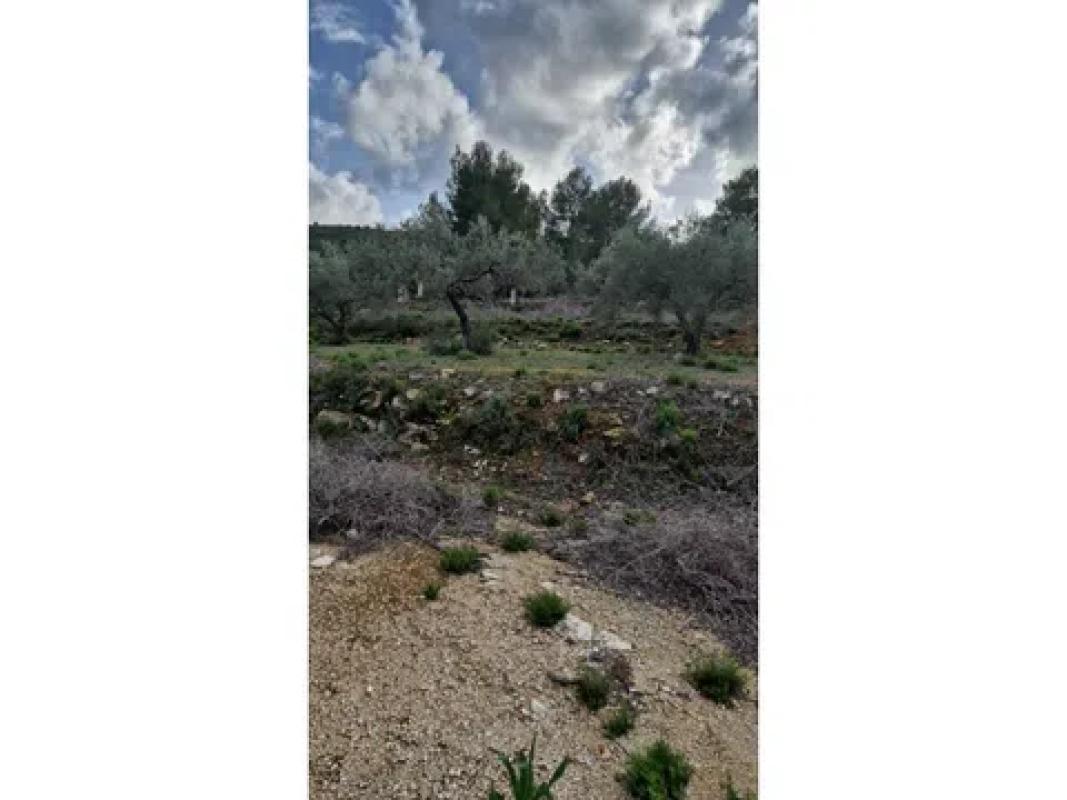 Участок земли на продажу в Гата-де-Горгос, Аликанте photo 3