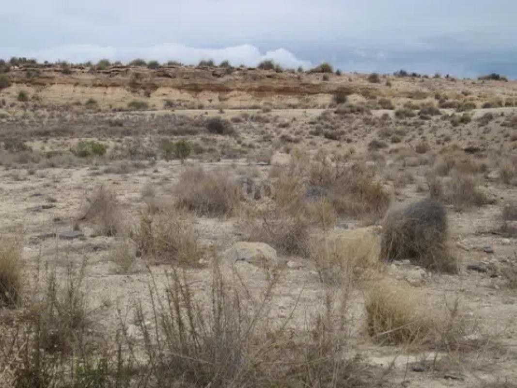 Terreno en venta en Mutxamel, Alicante photo 1