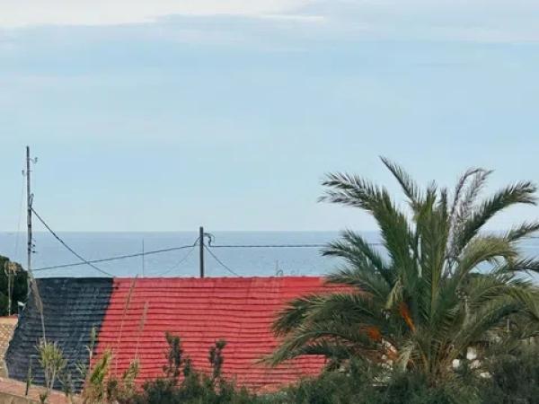 Terreno en La Marina photo 1