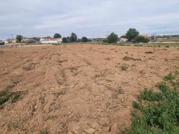 Terreno en Partida el Aljibe, 78 photo 2