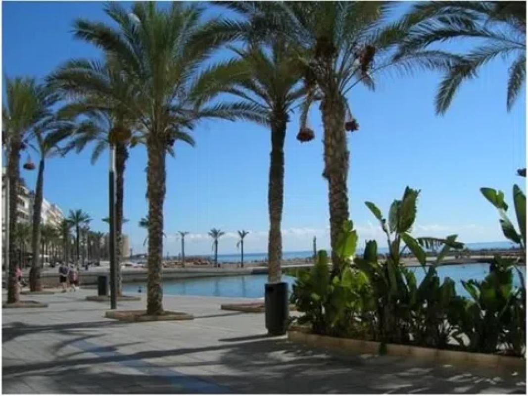 Działka na sprzedaż w Torrevieja, Alicante photo 1
