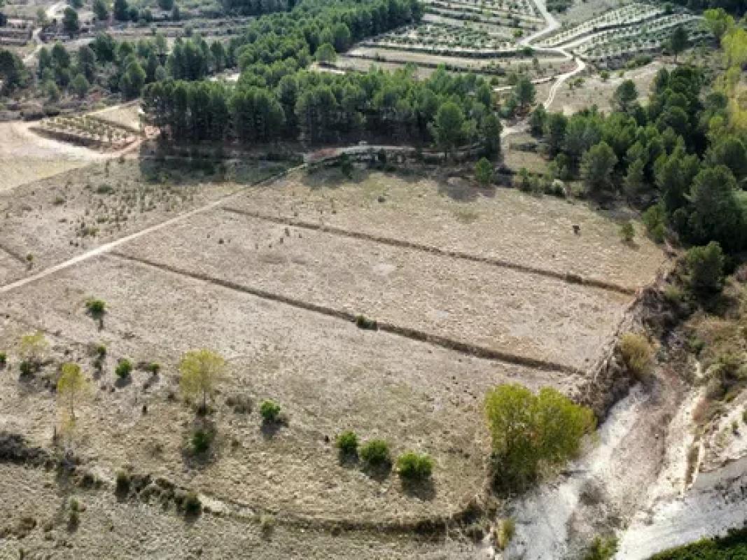 Terreno en venta en Alcocer de Planes, Alicante photo 2