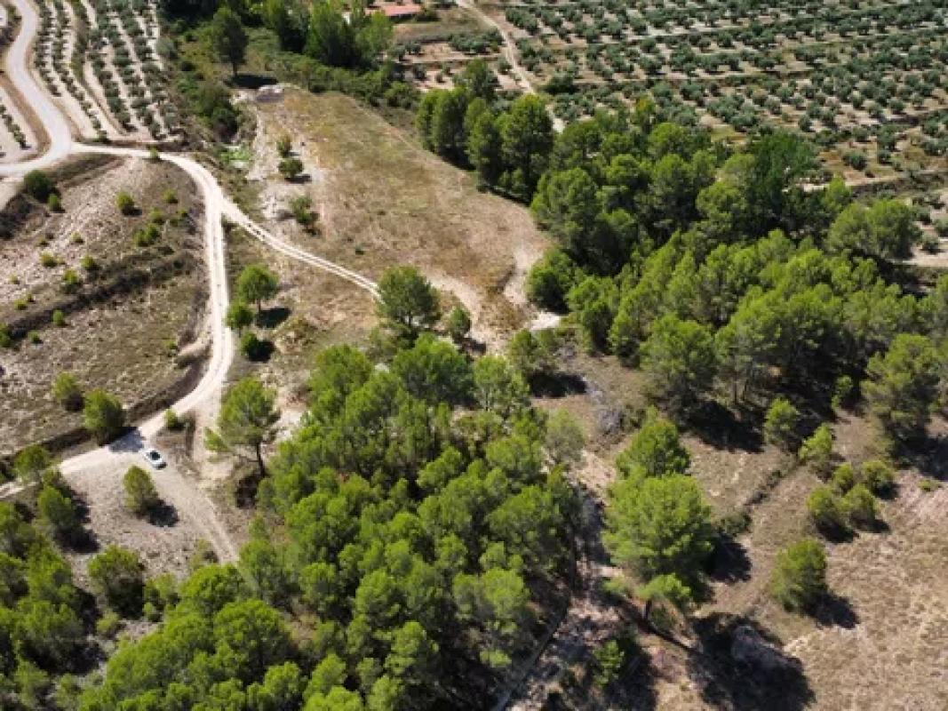 Terreno en venta en Alcocer de Planes, Alicante photo 3