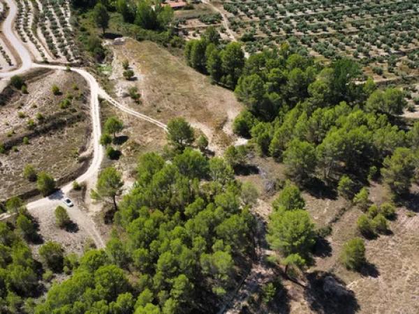 Terreno en via Sense Nom, km 3.841 thumbnail 2